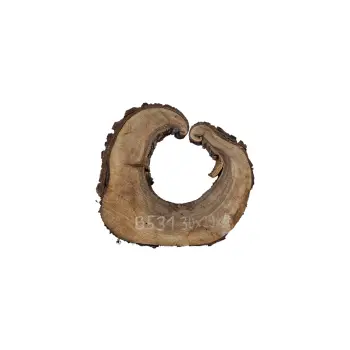 Plaster Orzecha Włoskiego 30x29x4cm