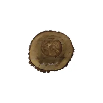 Plaster Orzecha Włoskiego 56x53x6cm