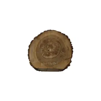 Plaster Orzecha Włoskiego 55x51x6cm