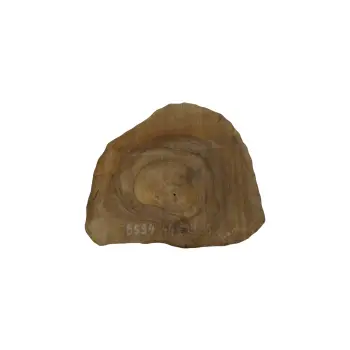 Plaster Orzecha Włoskiego 44x39x5cm