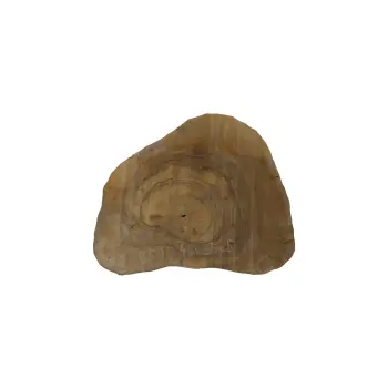 Plaster Orzecha Włoskiego 46x38x5cm