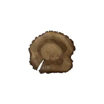 Plaster Orzecha Włoskiego 45x43x5cm