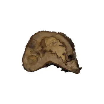 Plaster Orzecha Włoskiego 49x36x7,5cm