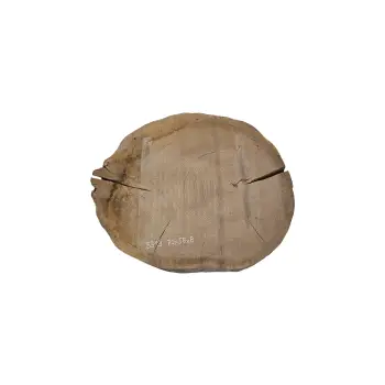 Plaster Dębowy 70x58x8cm Dąb