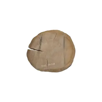 Plaster Dębowy 65x61x8cm Dąb