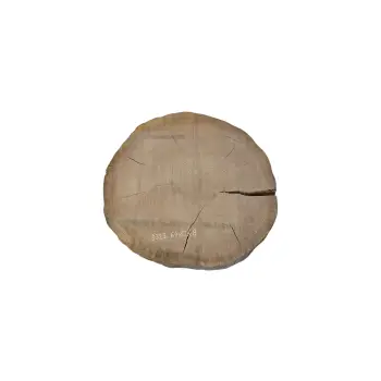 Plaster Dębowy 64x62x8cm Dąb