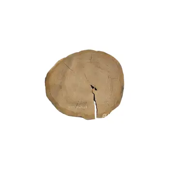 Plaster Dębowy 78x72x9cm Dąb