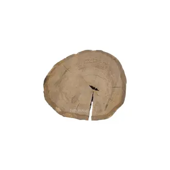 Plaster Dębowy 81x75x9cm Dąb