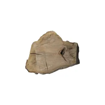 Plaster Dębowy 75x70x9cm Dąb