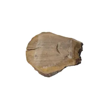 Plaster Dębowy 79x64x9cm Dąb