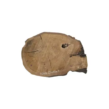 Plaster Dębowy 67x49x7cm Dąb