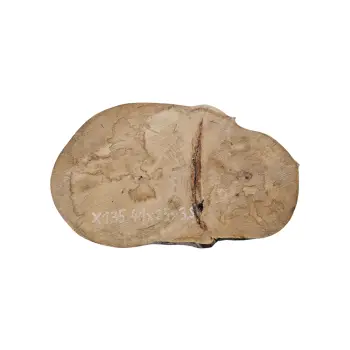 Plaster Jawora 41x25x3,5cm