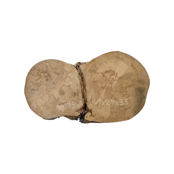 Plaster Jawora 41x24x3,5cm
