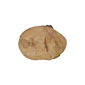 Plaster Jawora 35x26x4cm