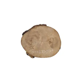 Plaster Jawora 32x26x4cm