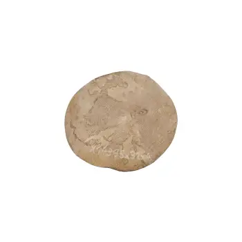 Plaster Jawora 35x32x4cm