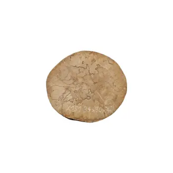Plaster Jawora 34x30x4cm