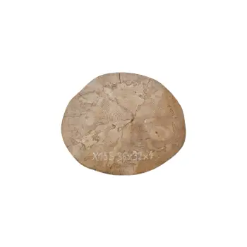 Plaster Jawora 36x32x4cm