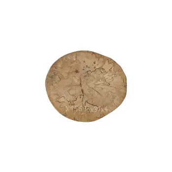 Plaster Jawora 35x31x4cm