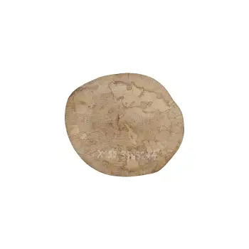 Plaster Jawora 35x32x4cm