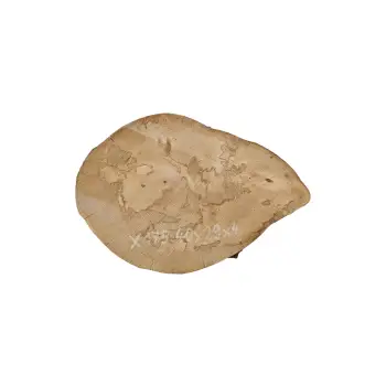 Plaster Jawora 40x29x4cm