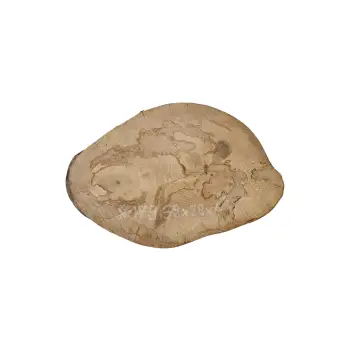 Plaster Jawora 39x28x4cm