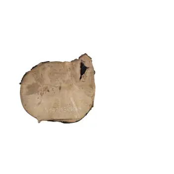 Plaster Jawora 39x36x4cm