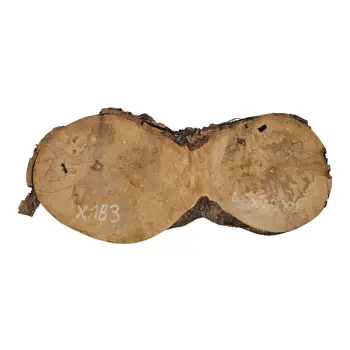 Plaster Jawora 46x20x4cm