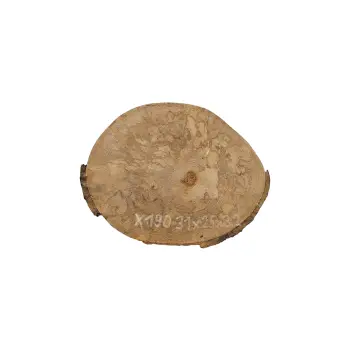 Plaster Jawora 31x25x3cm