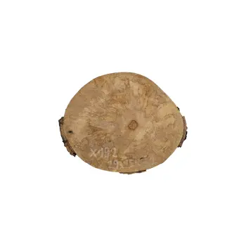 Plaster Jawora 29x25x3cm