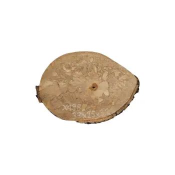 Plaster Jawora 33x25x3cm