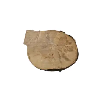 Plaster Jawora 38x33x5cm
