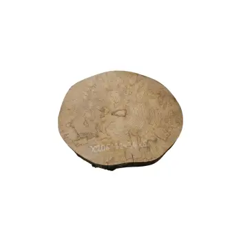 Plaster Jawora 42x34x6cm