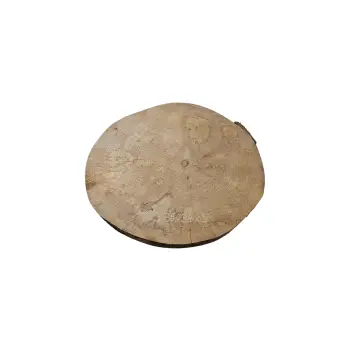 Plaster Jawora 38x34x5cm