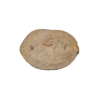 Plaster Jawora 45x33x4cm