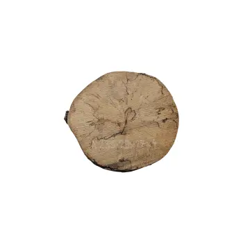 Plaster Jawora 29x27x4cm