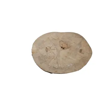 Plaster Jawora 45x33x4cm