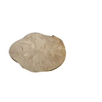 Plaster Jawora 41x30x4cm