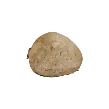 Plaster Jawora 33x31x4cm