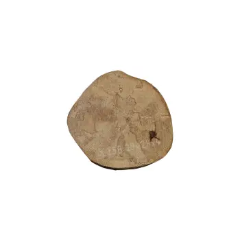 Plaster Jawora 29x28x4cm
