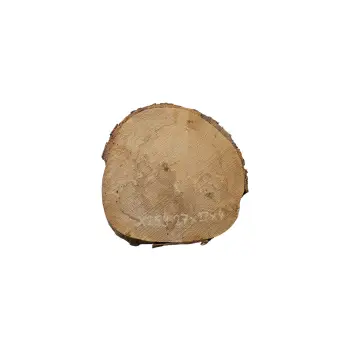 Plaster Jawora 27x27x4cm