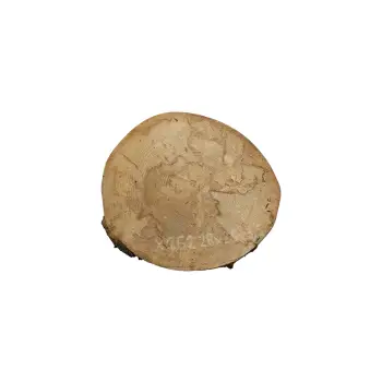Plaster Jawora 28x26x3,5cm