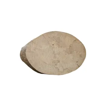 Plaster Jawora 28x22x3,5cm
