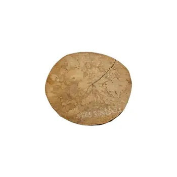 Plaster Jawora 30x26x3,5cm
