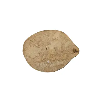 Plaster Jawora 32x25x3,5cm