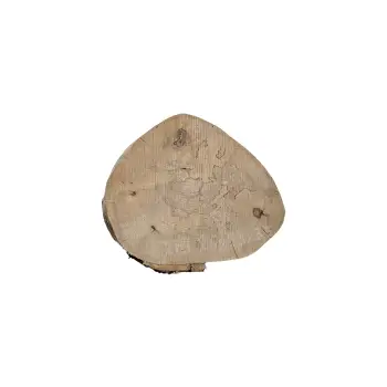 Plaster Jawora 26x23x3,5cm