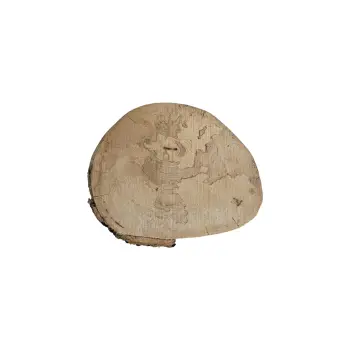 Plaster Jawora 25x21x3,5cm