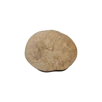 Plaster Jawora 41x35x6cm