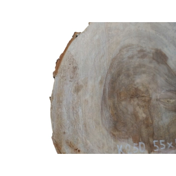 Plaster Kasztanowca 55x54x7cm