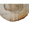 Plaster Kasztanowca 56x53x7cm